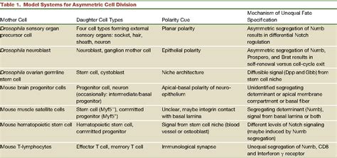 Table From Mechanisms Of Asymmetric Stem Cell Division Semantic Scholar