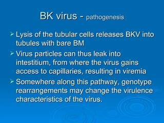 Bk Polyoma Virus PPT