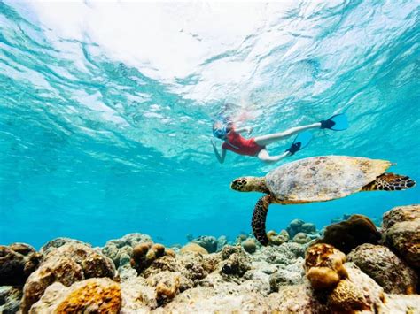 Best Snorkeling In Turks And Caicos - Top Spots In Providenciales