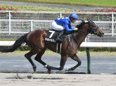 【レパードs出走馬・騎手確定】タイセイドレフォン＆川田将雅騎手、ハピ＆藤岡佑介騎手など15頭 その他競技 スポーツブル スポブル