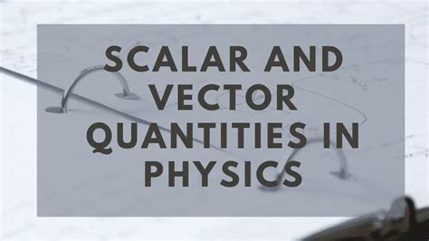 Concept of Vectors and Scalars in Physics - PhysicsGoEasy