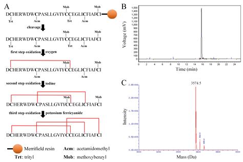 SciELO Brasil O1 Conotoxin Tx6 7 Cloned From The Genomic DNA Of