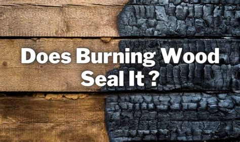 Does Burning Wood Seal It 10 Benefits Of Charring Wood