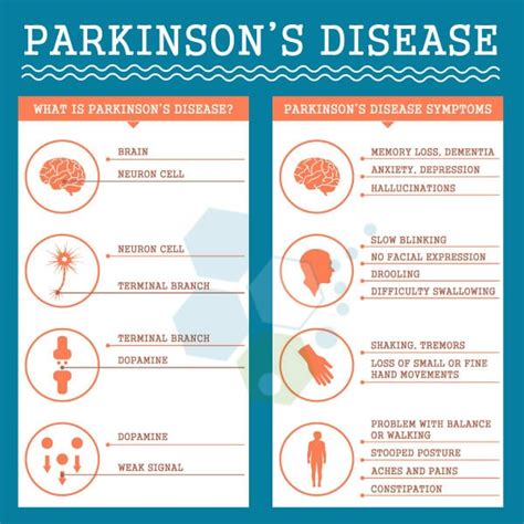 Neural Stem Cell Treatment for Parkinson’s Disease [PD]