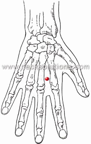 Neck Pain Acupressure Point - Stiff Neck Acupressure Relief Point