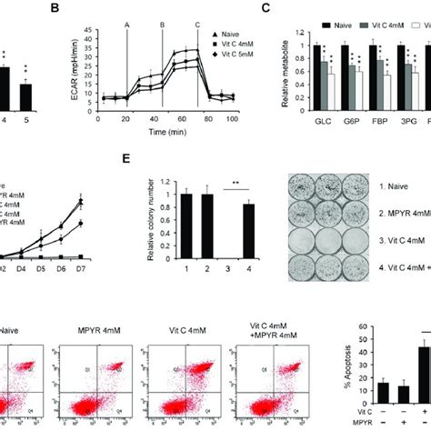 Effects Of High Dose Vitamin C On Pdac Cell Growth A Growth Assay