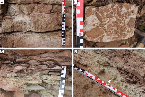 Selection Of Typical Sedimentary Structures In Outcrop Ha 1 A