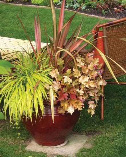 Evergreen Grasses for Containers | Ornamental grasses, Container plants ...