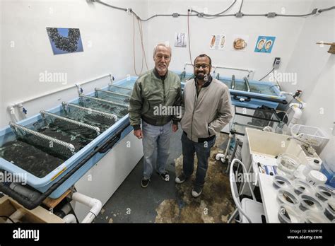 Los Angeles, California, USA. 2nd Jan, 2019. Tariq Warsi, right, CEO