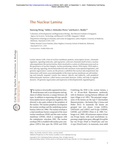 The Nuclear Lamina | PDF | Cell Nucleus | Chromatin