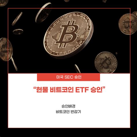 미국 Sec 비트코인 현물 Etf 승인