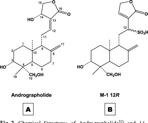 Table 1 From Pharmacological Aspects Of Andrographis Paniculata On