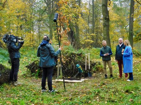 Videos European Route Of Historic Gardens