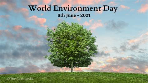 5th June - World Environment Day - The Factsopedia