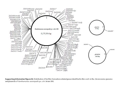 Genome Wide Mutagenesis Of Xanthomonas Axonopodis Pv Citri Reveals