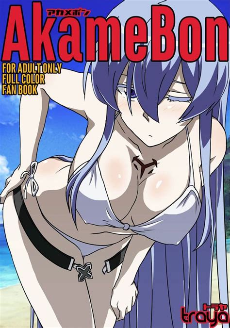 Akame Ga Kill Luscious Hentai Manga Porn