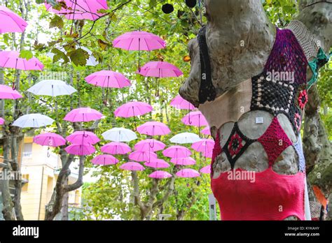 Bellaria Igea Marina Italy August 14 2014 Knitted Clothes On Trees