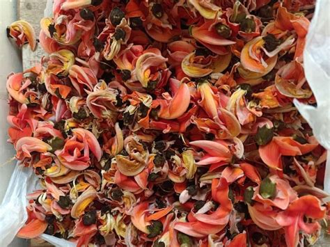 Butea Monosperma Red Base Organic Dry Palash Flowers Packaging Type