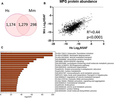 Frontiers Comparative Proteomic Analysis Of Human Milk Fat Globules