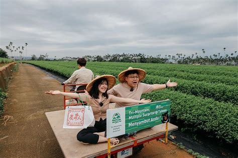 參山處搶攻穆斯林國際觀光市場 邀印尼百萬網紅體驗觀光圈魅力 蕃新聞