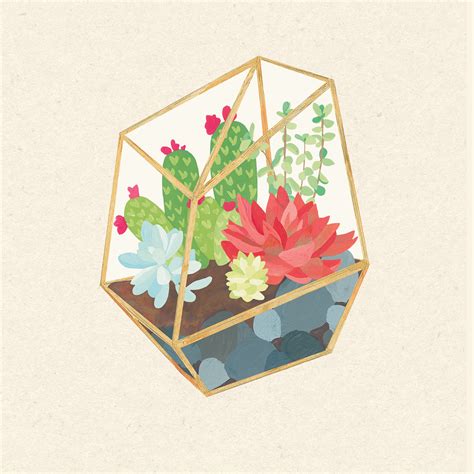 Terrarium Succulents on Behance