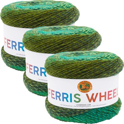 3 Pack Lion Brand Ferris Wheel Yarn Evergreen Walmart