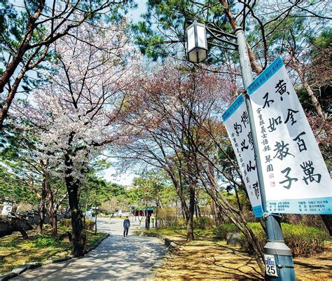 주민과 더욱 가까워진 독립운동 ‘성지 사회일반 사회 뉴스 서울and