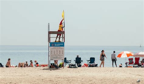 Two Toronto beaches are unsafe for swimming due to high E. coli levels ...