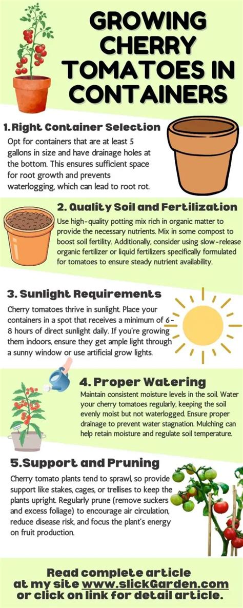 Ultimate Guide: Growing Cherry Tomatoes in Containers | Tips & Tricks – Slick Garden