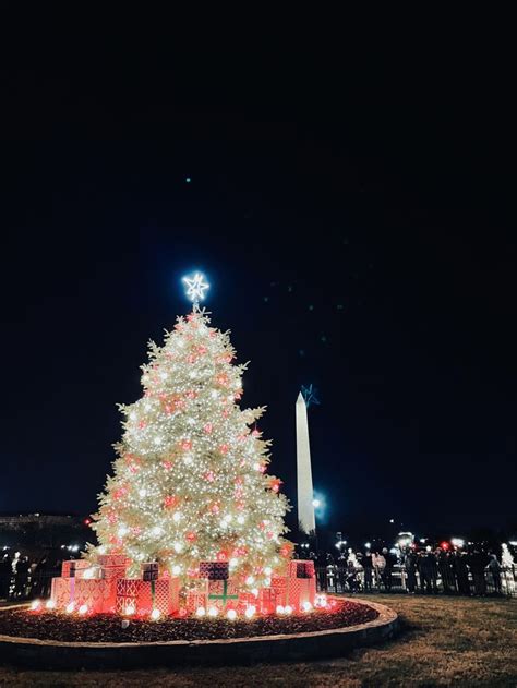 a lit christmas tree in front of the washington monument