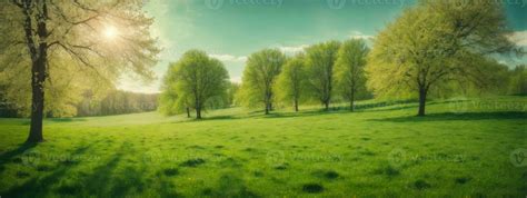 Spring Nature. Beautiful Landscape. Green Grass and Trees. AI generated ...