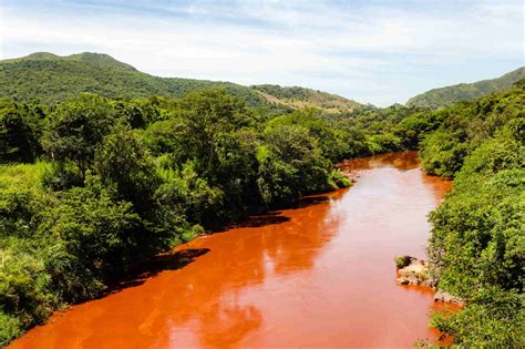 The Memory of Brumadinho - Revista Periferias