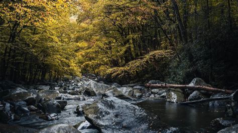 Running Water Soft Relaxation Sounds White Noise For Sleep Studying