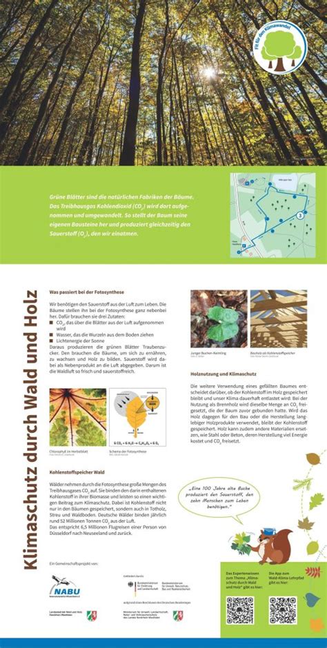 Klimaschutz durch Wald und Holz Fit für den Klimawandel