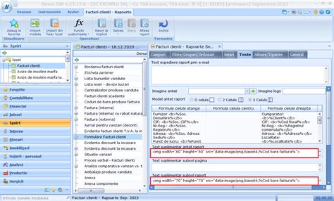 Nexus ERP Adaugare Coduri De Bare In Rapoartele De Tip Formular