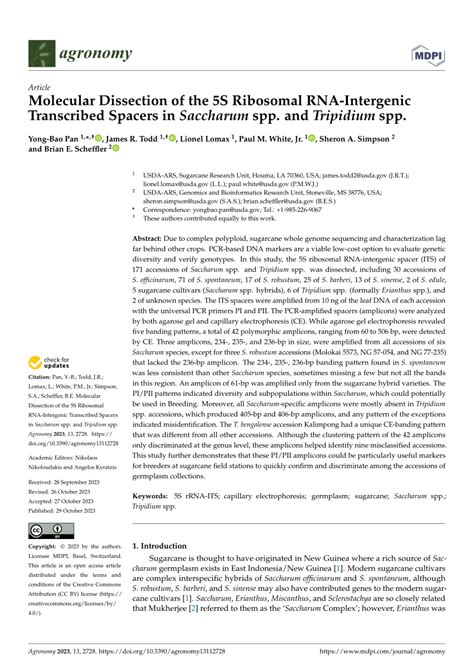 Pdf Molecular Dissection Of The S Ribosomal Rna Intergenic