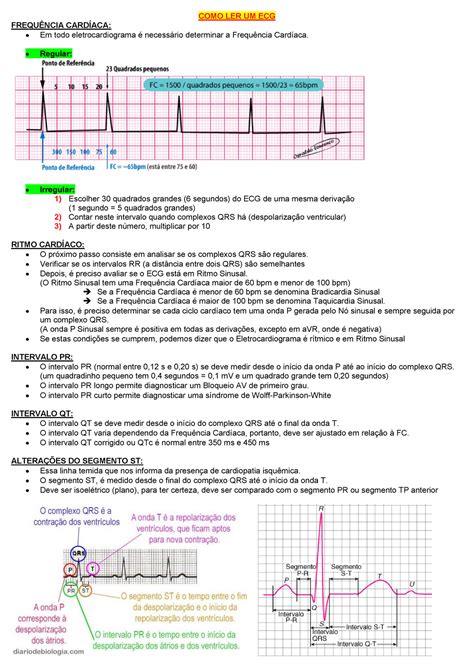 Clinica Como Ler Um Ecg Como Ler Um Ecg Frequ Ncia Card Aca Em