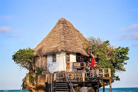 Tour Dei Delfini Di Zanzibar Grotta Di Kuza Spiaggia Di Paje