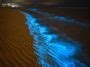 Playas Bioluminiscentes En M Xico Que No Te Puedes Perder