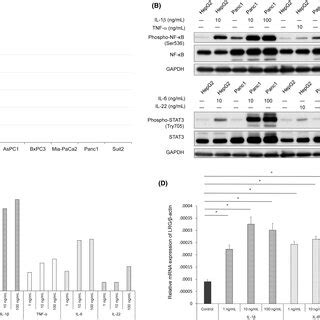 Leucinerich Alpha2glycoprotein LRG Induced Epithelialmesenchymal