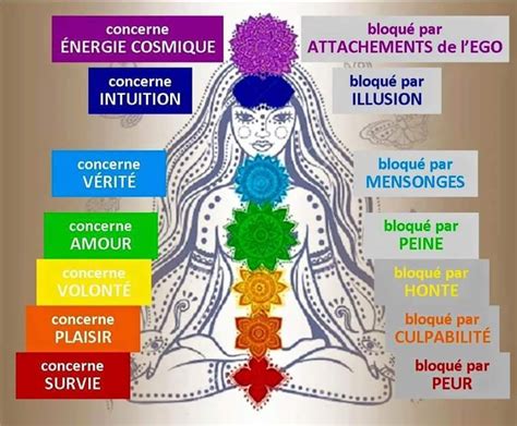 Les Corps Subtils Les Chakras Chakra Francais Chakra