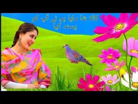 Hindko Songs Hindko Mahiye Pahari Mahiye Sariki Song Naeem Hazarvi Song