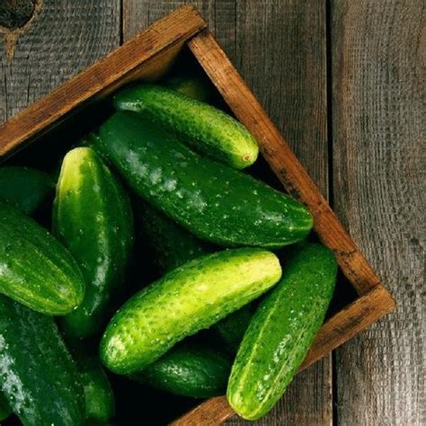 40 Best Cucumber Varieties You Want to Grow | Green Thumb Gardener