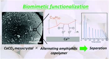 A Biomimetic Hybrid Material Consisting Of CaCO3 Mesoporous