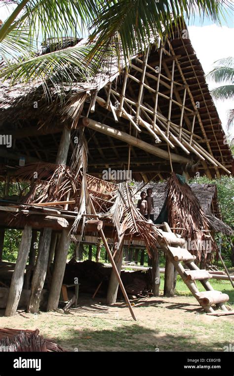 Traditional Sepik Stilt House In A Remote Papua New Guinea Village