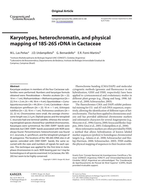 Pdf Karyotypes Heterochromatin And Physical Mapping Of S S Rdna