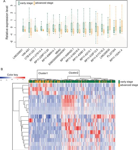 Altered LncRNA Expression Patterns In The Progression Of UCEC A