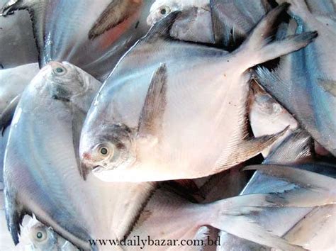 Rupchanda Fish Kg Pcs Daily Bazar Retail Online Grocery