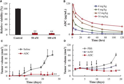 Evaluation Of Antitnbc Efficacy And Pharmacokinetics Of Antiegfr Adc