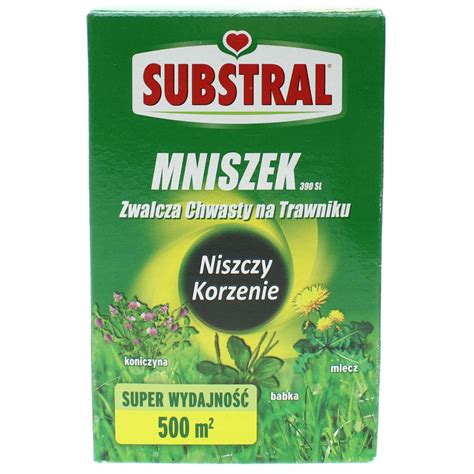 Mniszek Sl Ml Na Chwasty W Trawniku Mlecz